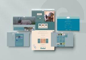 création de site internet boutique commerce dogsafety collier martingale fait main en france à Mornant Alivecom Graphiste Douai lille Arras
